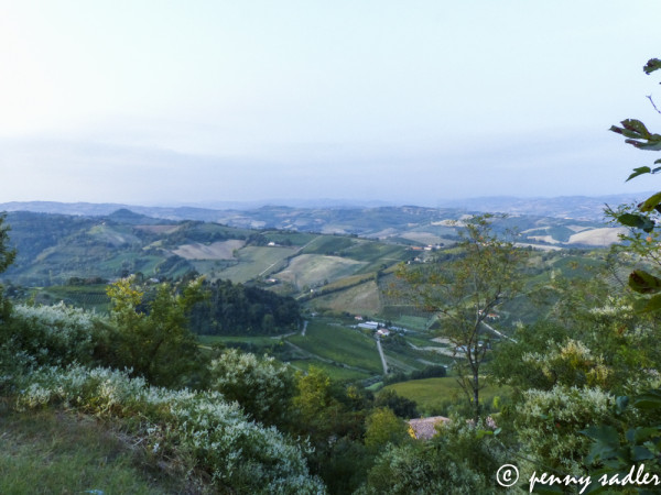 Bertinoro as seen from the Bishop's Fortress. @PennySadler 2013