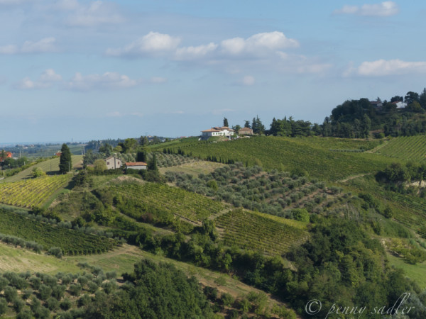 view from the castello Castrum Sagliani @PennySadler 2013