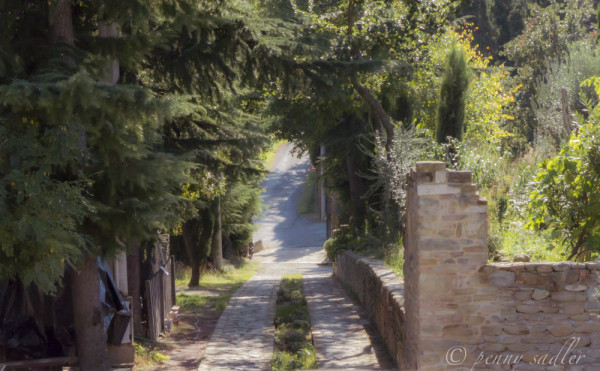 the road to Castrum Sagliani Cesena, @PennySadler 2013 - 2104