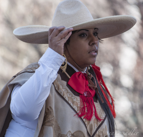 Ft.Worth Stock show and rodeo parade, @PennySadler 2014
