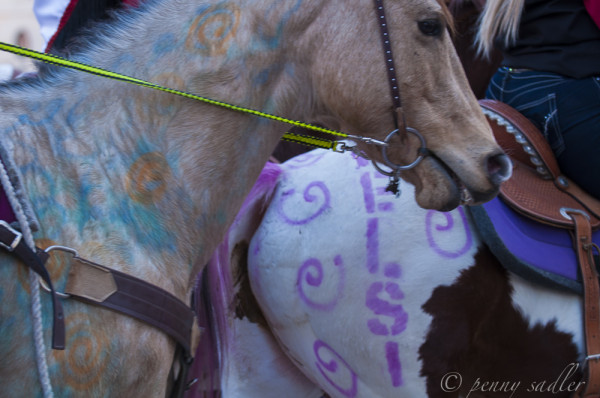 FtWorthSSR parade 2014. @PennySadler