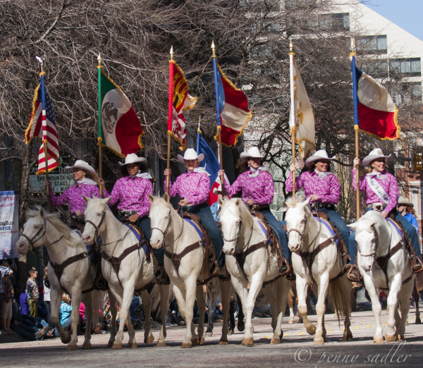 FT.Worth Stock Show parade @PennySadler 2014