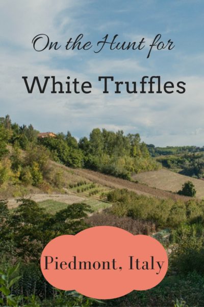 On The Hunt For White Truffles, Piedmont, Italy