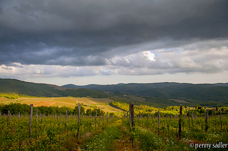 clouds and vineyards in Tuscany