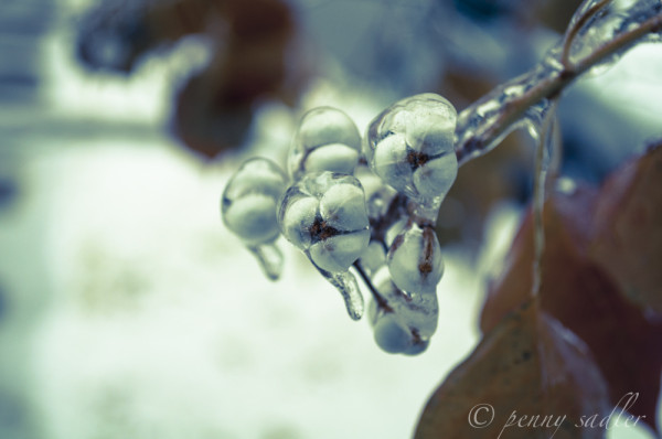 Yes we have winter in Dallas @PennySadler 2013