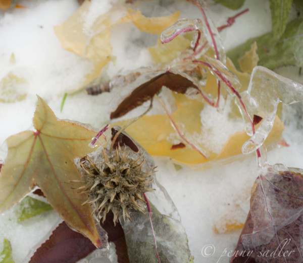 Yes we have winter in Dallas @PennySadler 2013