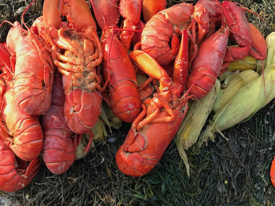 lobsters after they have been boiled