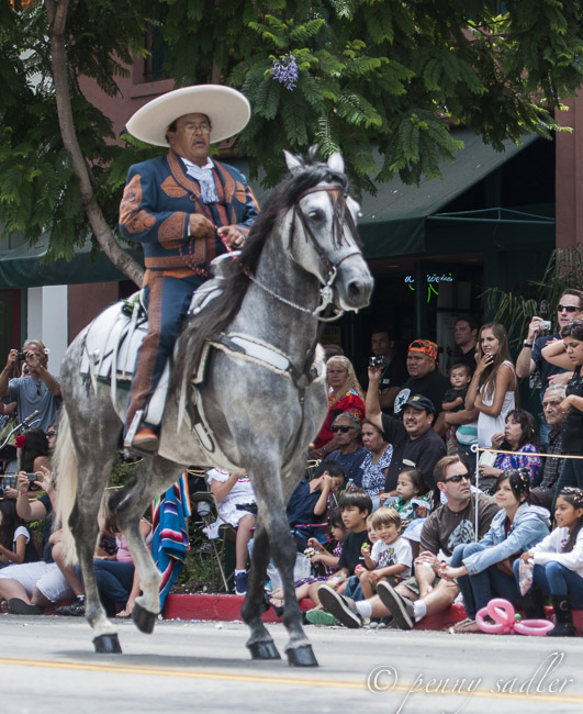 Vaquero riding a grey horse with a black mane. Fiesta Santa Barbara.