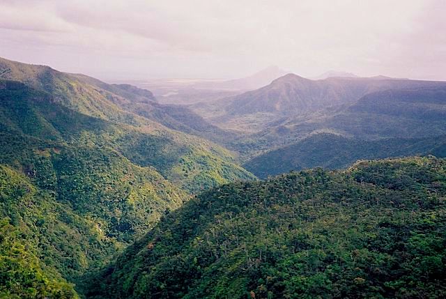 Black river Gorges, Mauritius