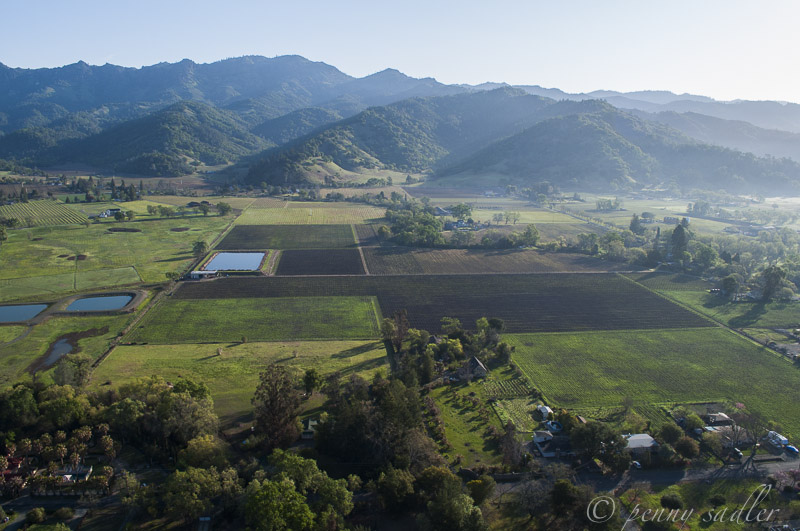 Flying over the foothills of Calistoga, aerial shot from a hot air balloon. California, Napa Valley