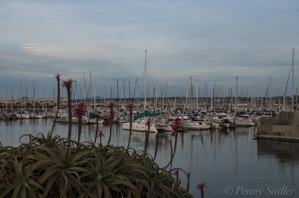 5 reasons to love monterey California