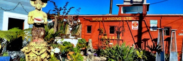 5 Reasons To Love Monterey California @PennySadler