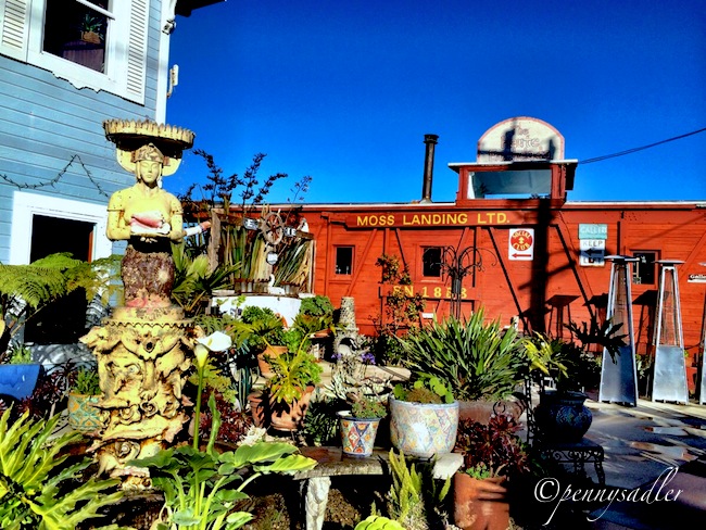 5 Reasons To Love Monterey California @PennySadler