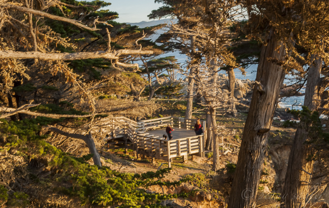Sunset at the Lone Cypress Pebble Beach