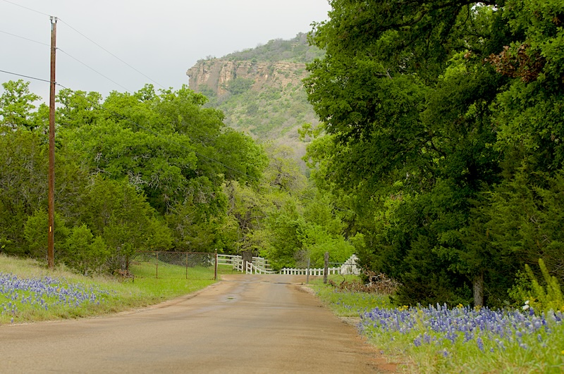country road with wildflowers