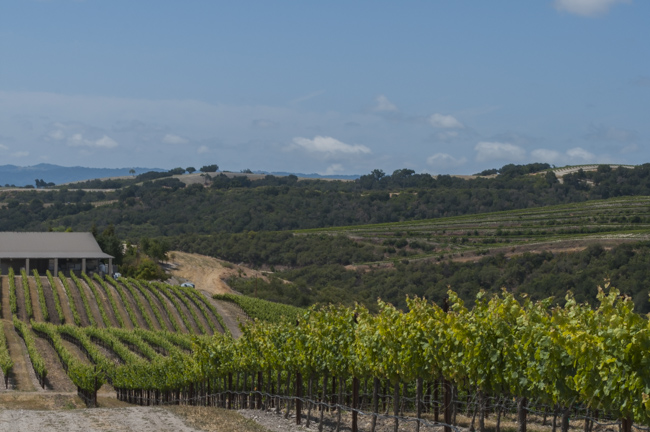 Off The Beaten Path in Paso Robles, California