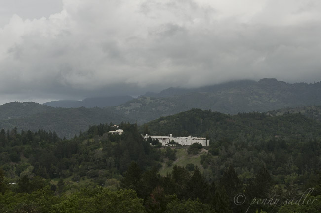 Sterling Vineyards, @PennySadler 2014