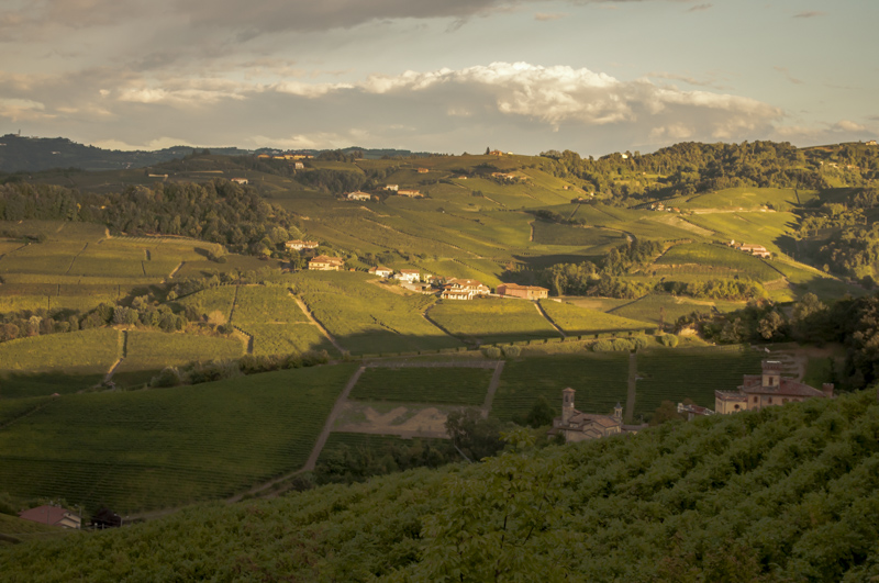 Langhe wine country, Piemonte, Italy @PennySadler 2015