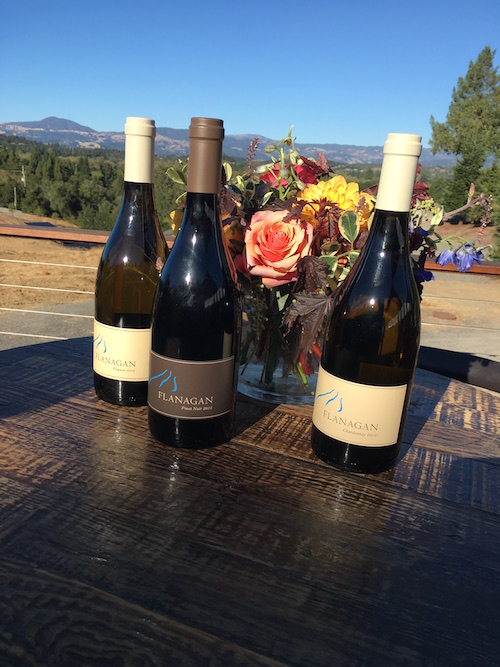 72 Hours in Sonoma County