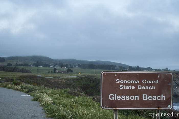 72 Hours in Sonoma County, California