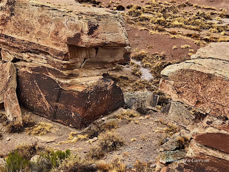 Newspaper Rock, The Painted Desert, Arizona