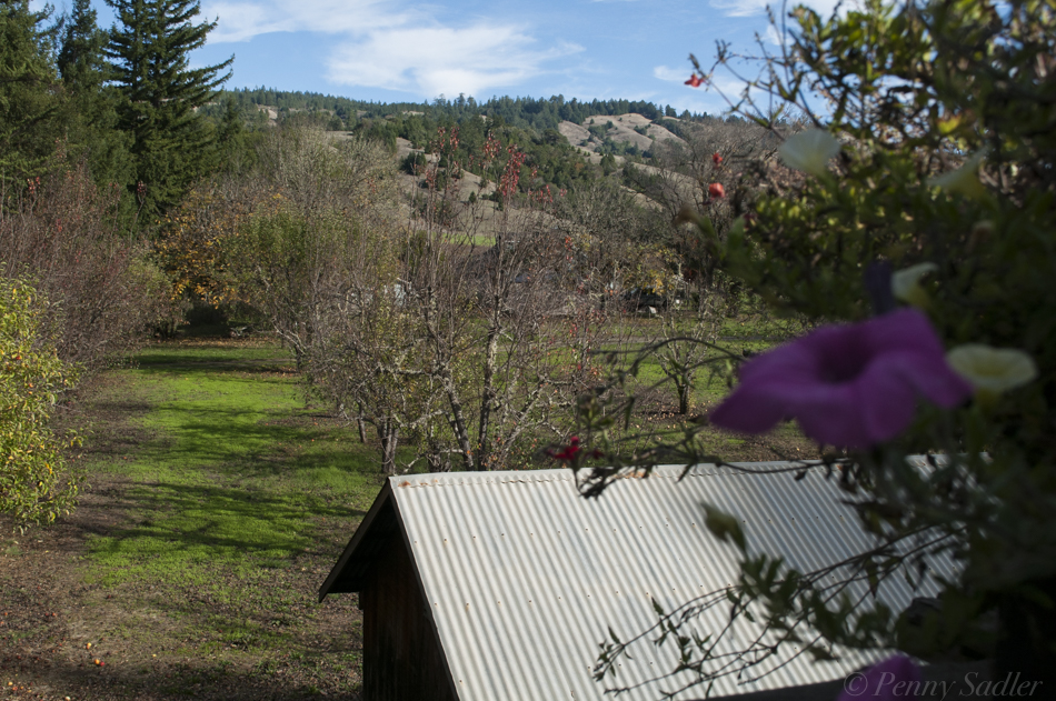 Paradise For White Wine Lovers Anderson Valley