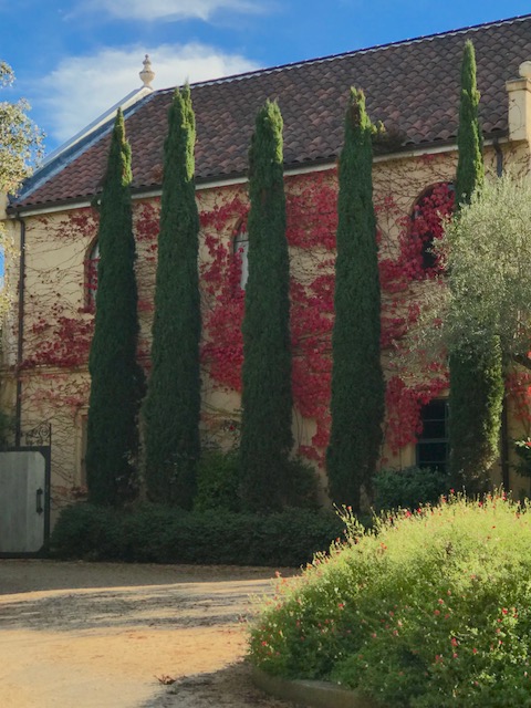 The Madrones, Philo California winery
