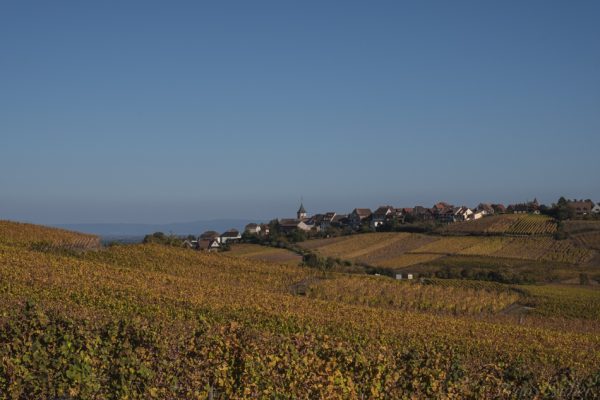 Wine Castles and Culture Top Reasons To Visit Riquewihr, Alsace ©PennySadler 2018