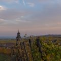 Wine Castles and Culture Top Reasons to Visit Riquewihr, Alsace