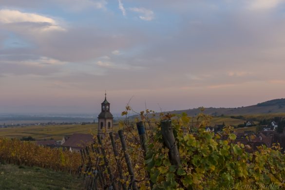 Wine Castles and Culture Top Reasons to Visit Riquewihr, Alsace