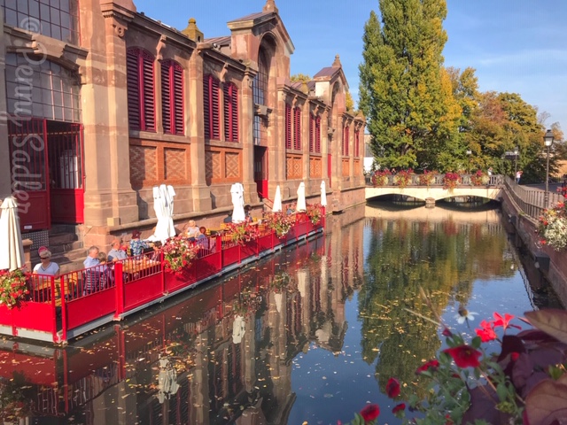 Covered Market and canal in Colmar, Alsace, From Wine, Castles, and Culture Top Reasons To visit Riquewihr, Alsace