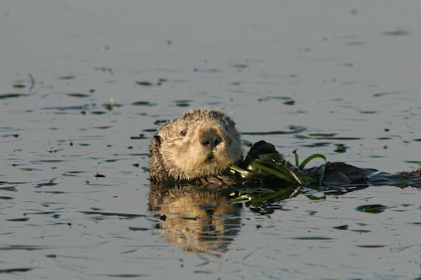 From: How To Travel Greener and Save Money Too