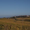 from Riesling and Goat Cheese, A match made in Heavn