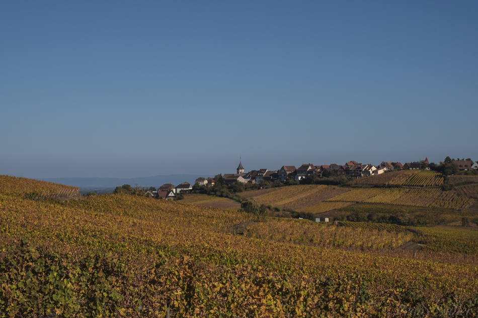 from Riesling and Goat Cheese, A match made in Heavn