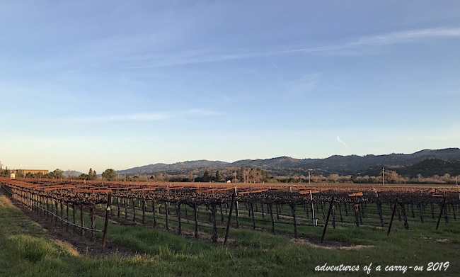 Geyserville California A Bit of Italy in Sonoma Wine Country