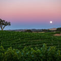 Riboli Family vineyards moonrise Paso Robles