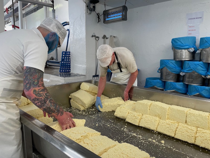 Men making cheddar cheese, Montgomery's Adventures in England