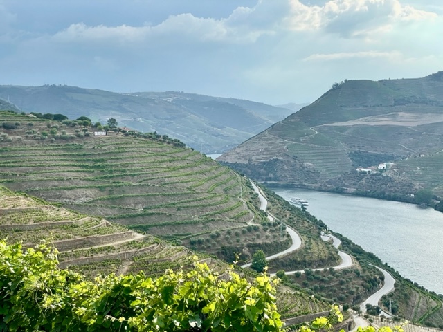 View of the terraced vineyards overlooking the Douro River Valley Portugal