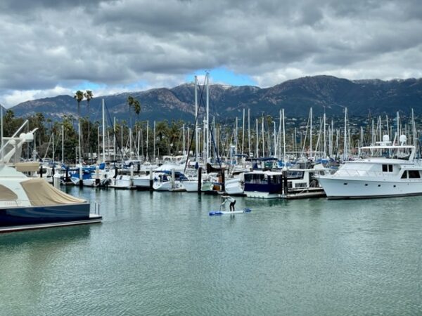 boats on the water in the Santa Barbara harbor