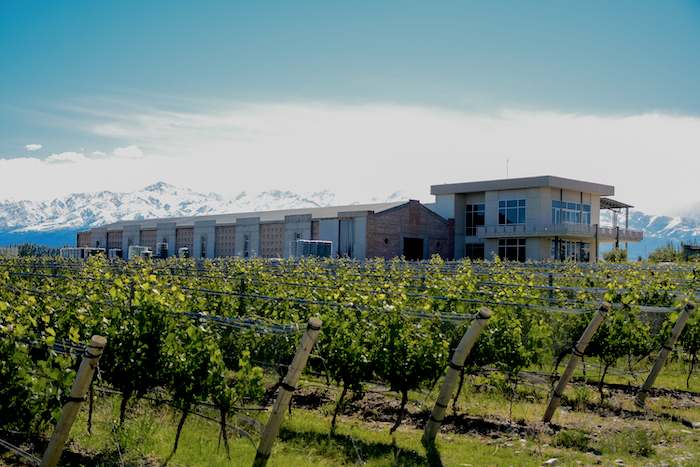 Snow capped peaks of the Andes mountains in the background and the Domaine Bosquet winery and vineyards in the foreground.