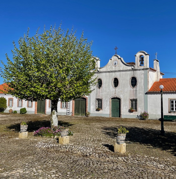 Best winery Lisbon day trip