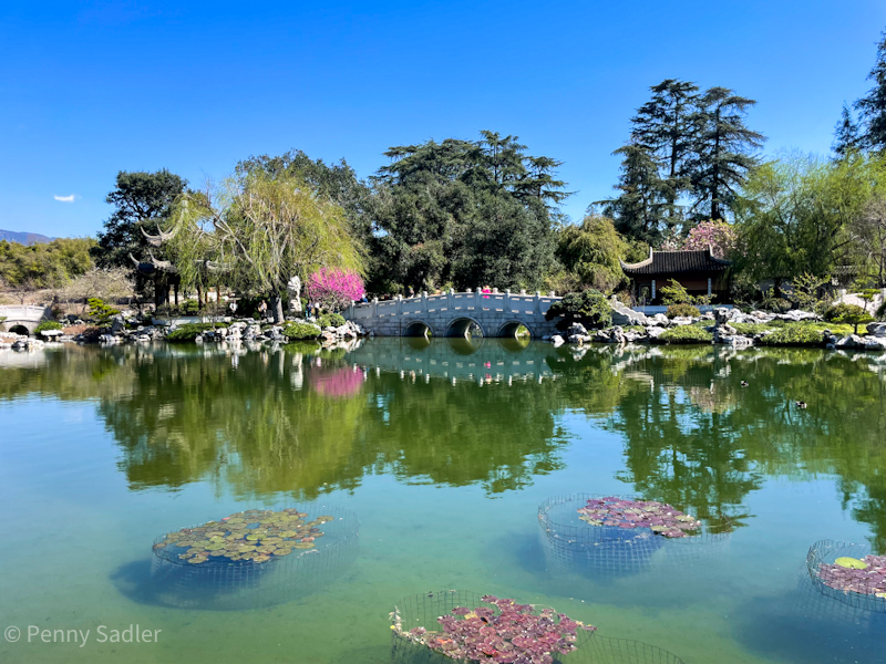 Chinese Gardens Pasadena