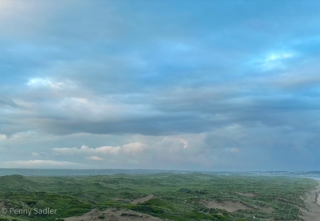 View of the Braunton Burrows, Braunton, North Devon