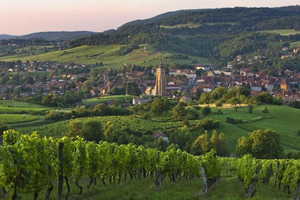 arbois vineyards, jura