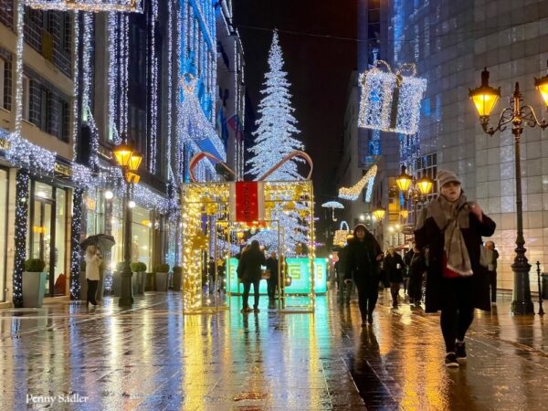 Budapest Christmas lights reflection.