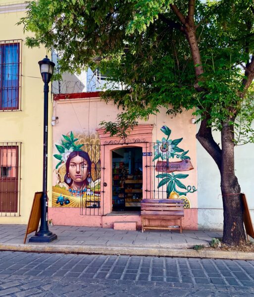 pink and yellow buildings on a cobblestone street in Oaxaca City. Murals and trees.