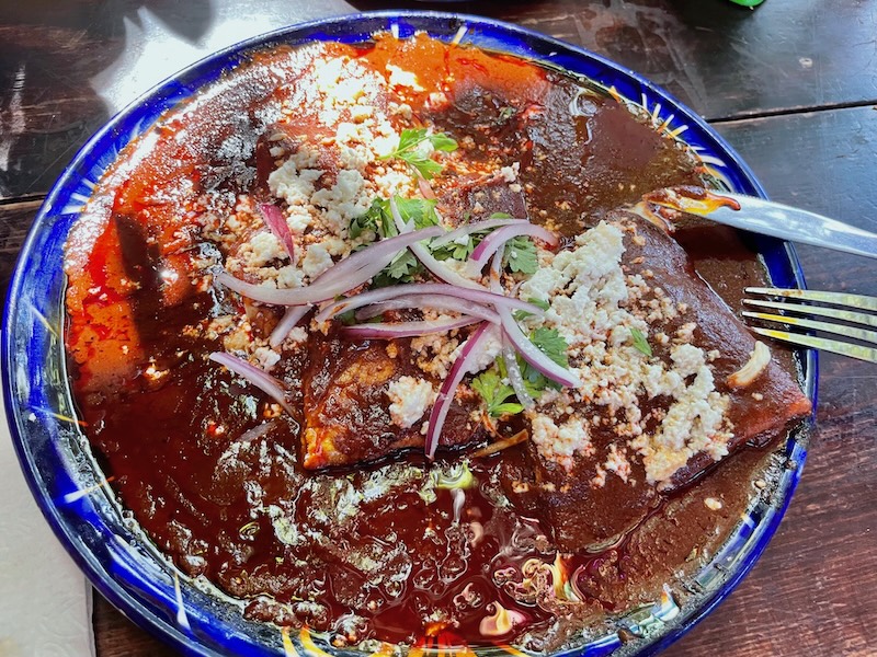 chicken enchiladas with red mole a Oaxacan specialty