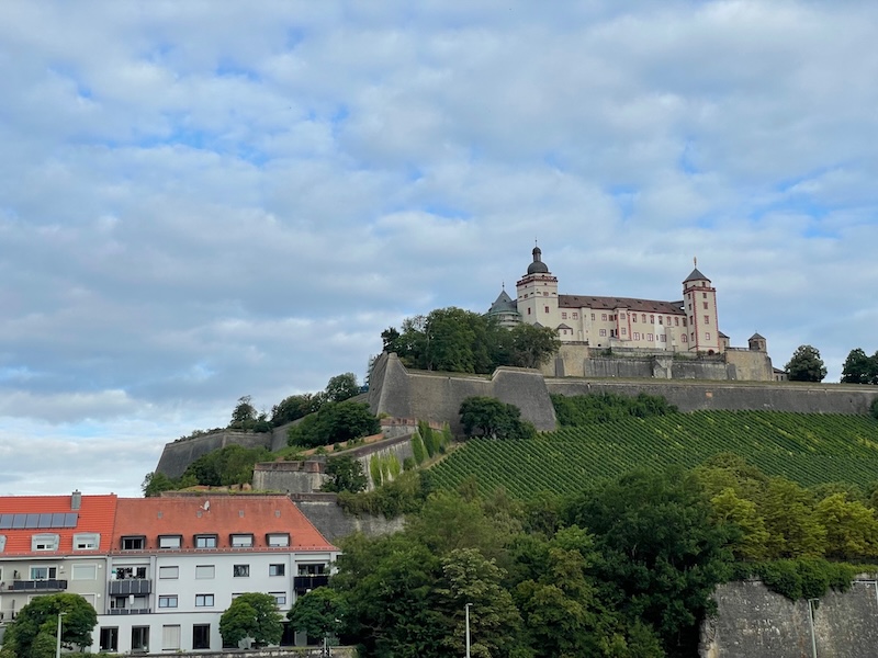 castle palace on a hillside surrounded by vineyards in Germany