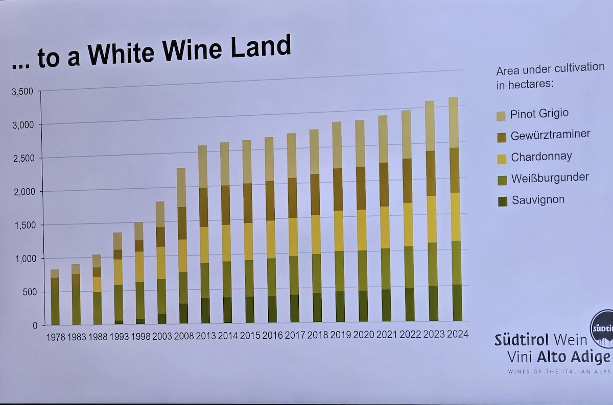 Chart showing how Alto Adige is a white wine varietals region.